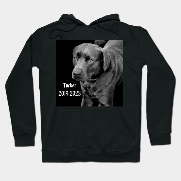 Tucker Hoodie by Kael Woodswalker